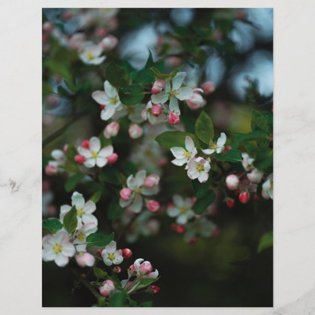 Moody apple tree blooms Scrapbook Paper (light) (Front)