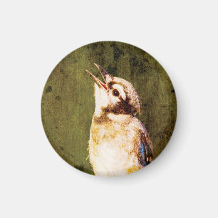 Moody Blue Jay Fine Art Magnet Wildlife Decor