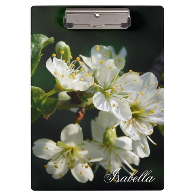 Moody Botanical White Bloom Original Photography Clipboard (Front)