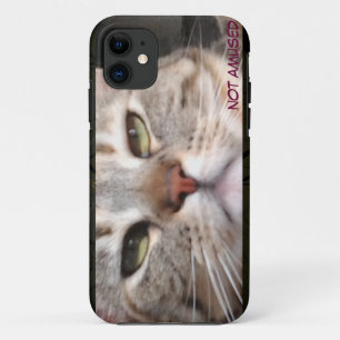 Moody Cat iPhone 11 Case