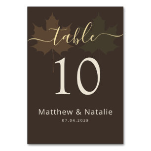Moody Chocolate Terracotta Sage Wedding Boho Table Number