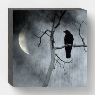 Moody Crescent Moon And Crow Wooden Box Sign