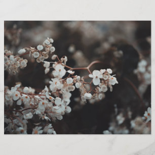 Moody Floral Scrapbook Paper