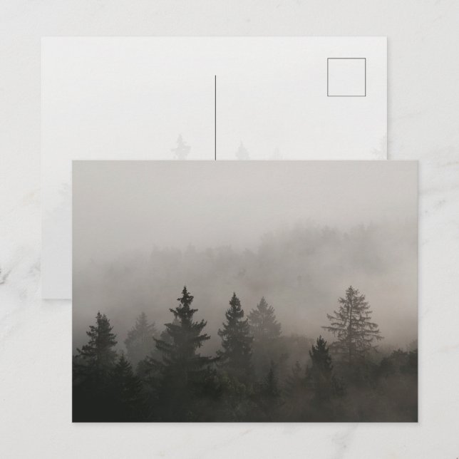 Moody Foggy Forest Postcard (Front/Back)