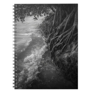 Moody Mangrove Roots Black and White Photo Notebook