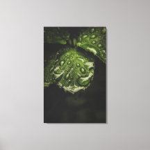 Moody Morning Dew canvas print art