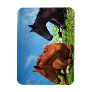 Moody Mountain Horses: A Fine Art Magnet