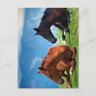 Moody Mountain Horses: A Fine Art Travel  Postcard