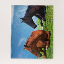 Moody Mountain Horses: A Fine Art Travel Puzzle.