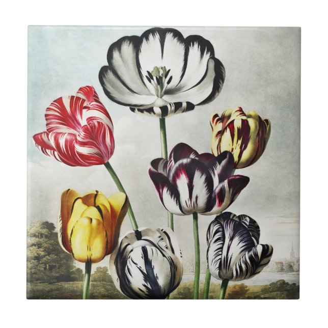 Moody Regency Style Multi-Colour Tulips Ceramic Tile (Front)