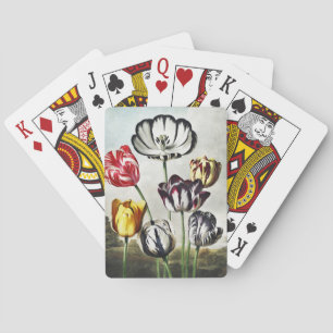 Moody Regency Style Multi-Colour Tulips Playing Cards