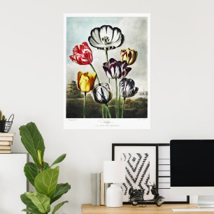 Moody Regency Style Multi-Colour Tulips Poster