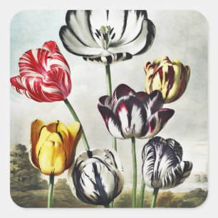 Moody Regency Style Multi-Colour Tulips Square Sticker
