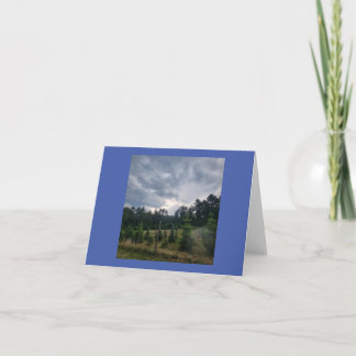 Moody sky and pines card