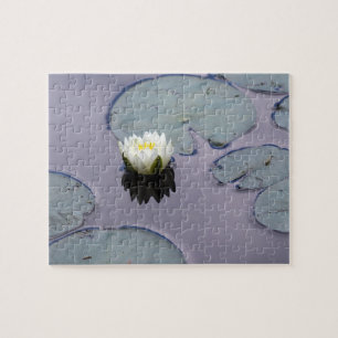 Moody Water Lily Jigsaw Puzzle