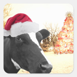 Mooey Christmas Winter Cow In Santa Hat Square Sticker