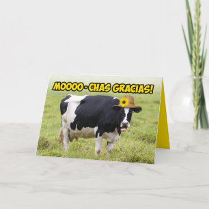 Mooing Cow– MoooChas Gracias In Udder Words Thanks Card