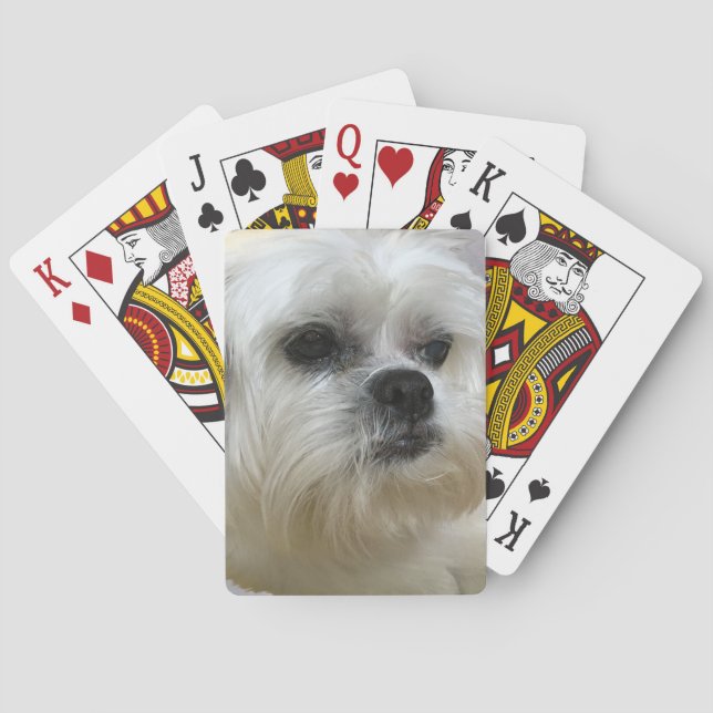 Mookee the Lhasa Apso Dog Playing Cards (Back)