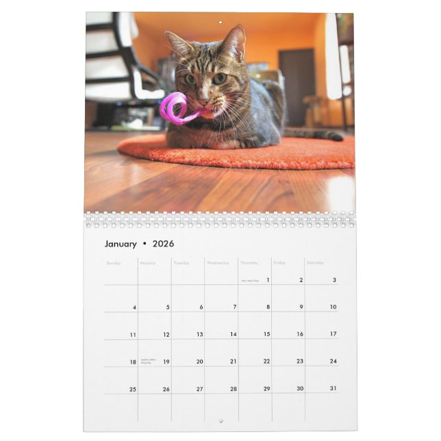 Mooki & Kiko 2010 Calendar (Jan 2026)