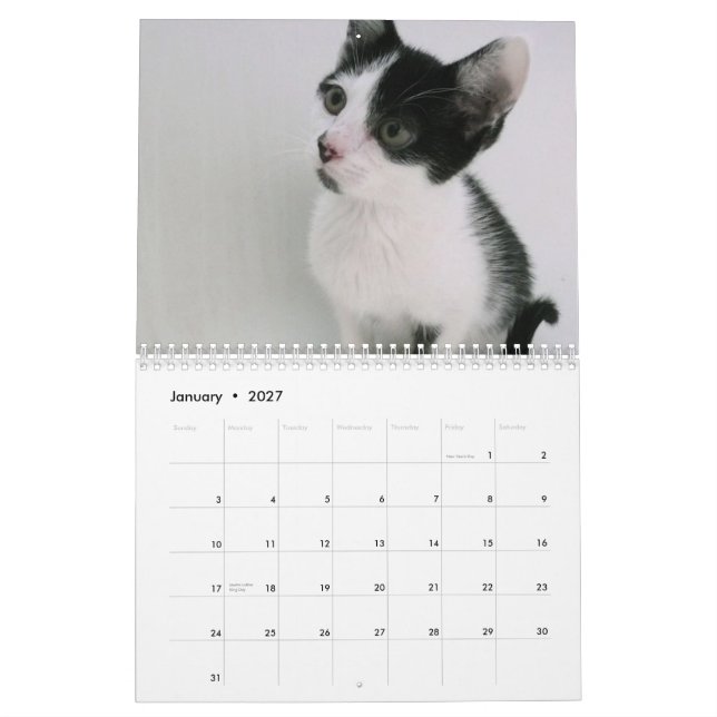 Mooki & Kiko Calendar (Jan 2027)