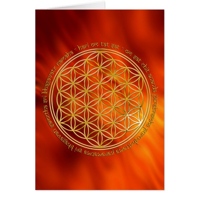 Moola Mantra / Blume Des Lebens | fire red (Front)