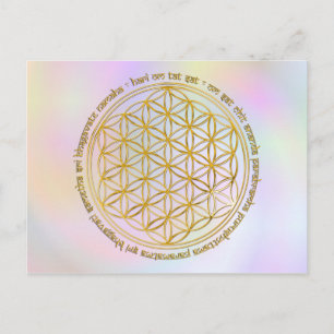 Moola Mantra / Blume Des Lebens pastell Postcard