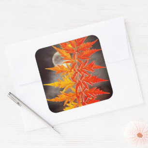 Moon and Leaves Square Sticker