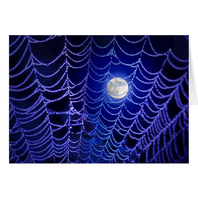 Moon and spider web Greeting Card (Front Horizontal)