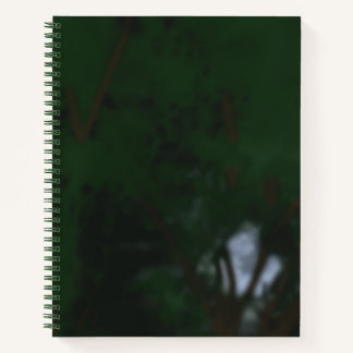 Moon And Trees Spiral Notebook