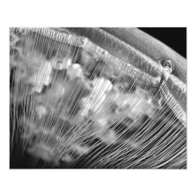 Moon Beads - Photo Enlargement Print (Front)