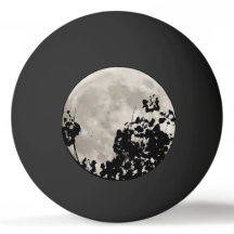 Moon behind dark leaves