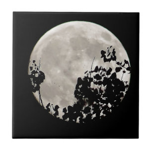 Moon behind dark leaves tile