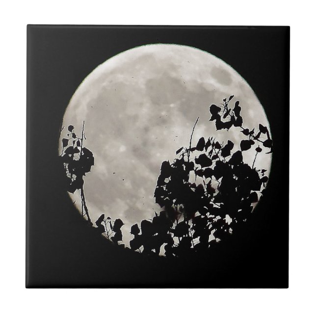 Moon behind dark leaves tile (Front)