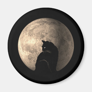 Moon cat magnet