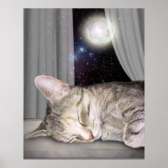 Moon Cat Poster (Front)