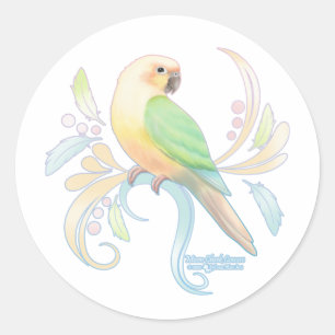 Moon Cheek Conure Classic Round Sticker