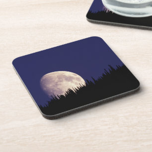 Moon & Forest Glacier National Park Montana Coaster