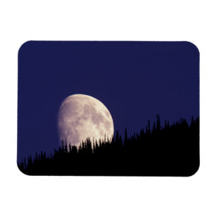 Moon & Forest Glacier National Park Montana Magnet