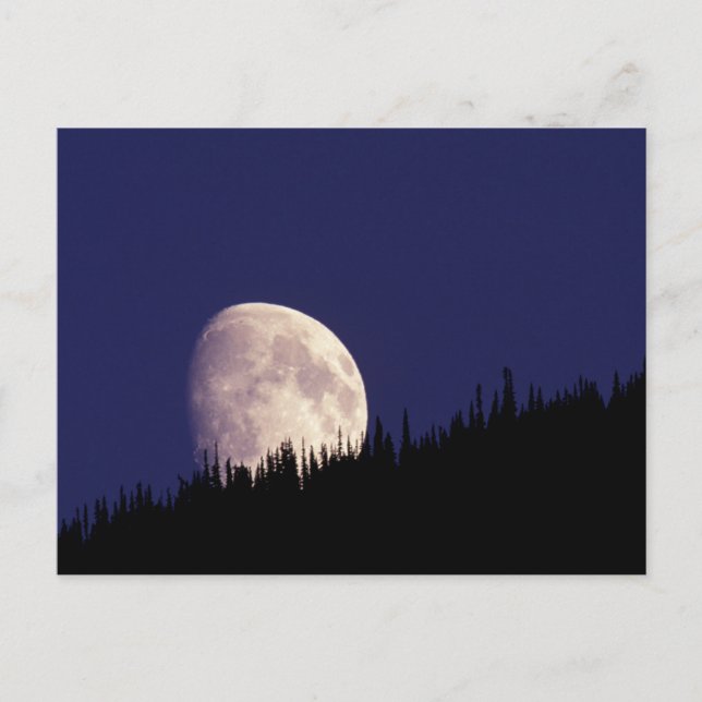 Moon & Forest | Glacier National Park Montana Postcard (Front)