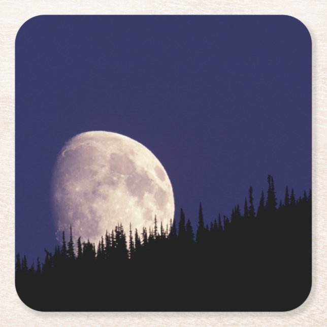Moon & Forest | Glacier National Park Montana Square Paper Coaster (Front)