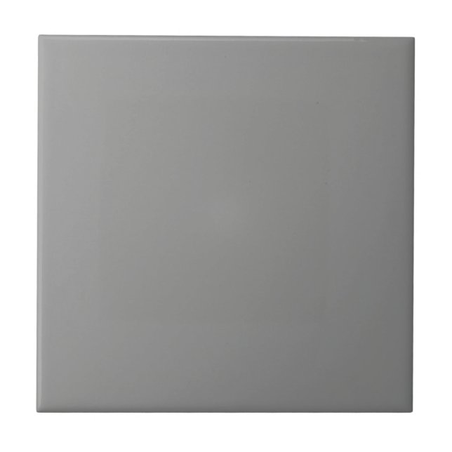 Moon Grey Solid Colour  Ceramic Tile (Front)