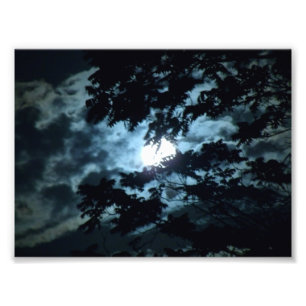 Moon Illuminates the Night behind Tree Branches Photo Print