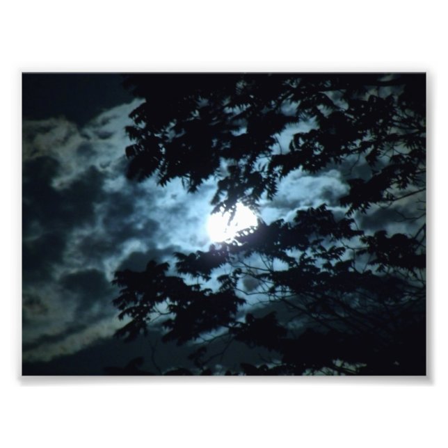 Moon Illuminates the Night behind Tree Branches Photo Print (Front)