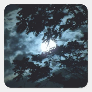 Moon Illuminates the Night behind Tree Branches Square Sticker