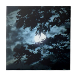 Moon Illuminates the Night behind Tree Branches Tile