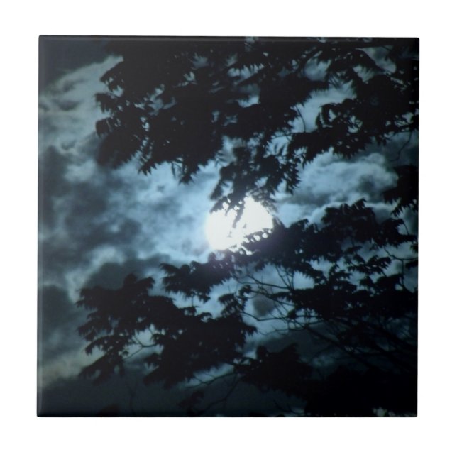 Moon Illuminates the Night behind Tree Branches Tile (Front)