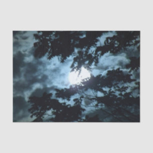 Moon Illuminates the Night behind Tree Branches Tissue Paper