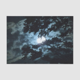Moon Illuminates the Night behind Tree Branches Tissue Paper