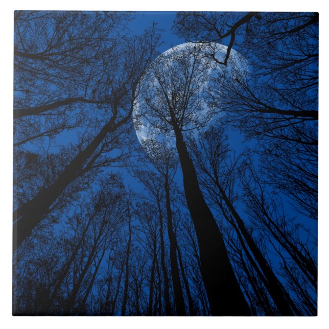 Moon in the Night Sky Ceramic Tile (Front)