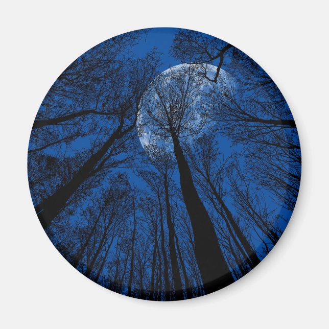 Moon in the Night Sky Magnet (Front)